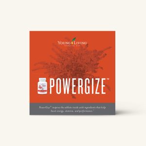PowerGize Brochure